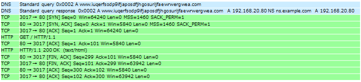 Figure 5: HTTP access to the network environment check site