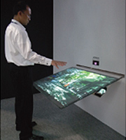 Public Gesture User Interface