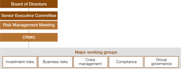 figure : Risk Management Structure