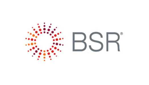 logo : Business for Social Responsibility (BSR)