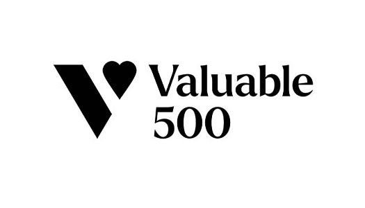 logo : The Valuable 500