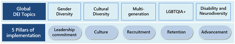 figure : Hitachi DEI Strategy