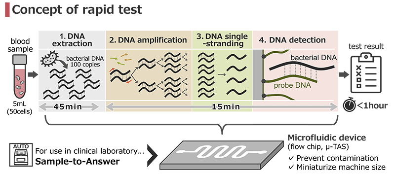 Concept of rapid test